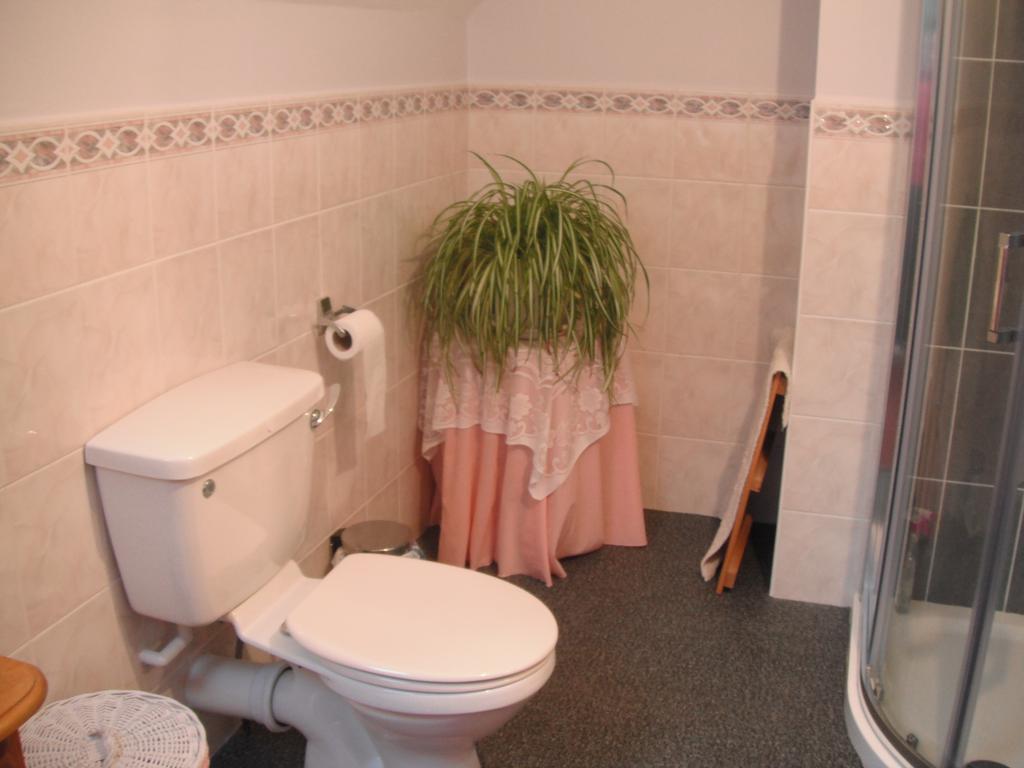 Narrow Gauge B&B Ballymoney Værelse billede